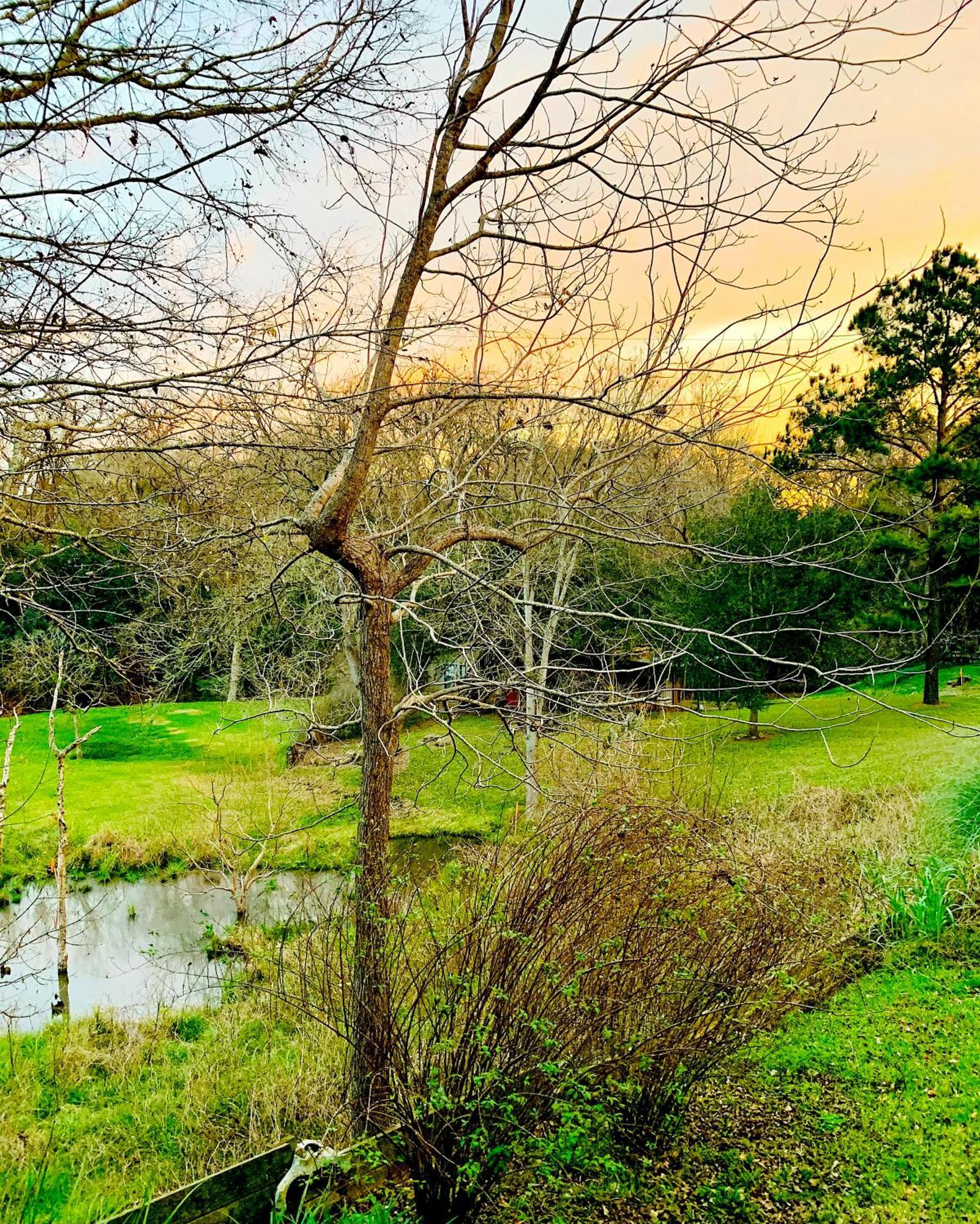 Circa 1900 - Historic - Romantic - Private - Pond - Fenced Yard - The Cottage At Chappell Hill Buitenkant foto